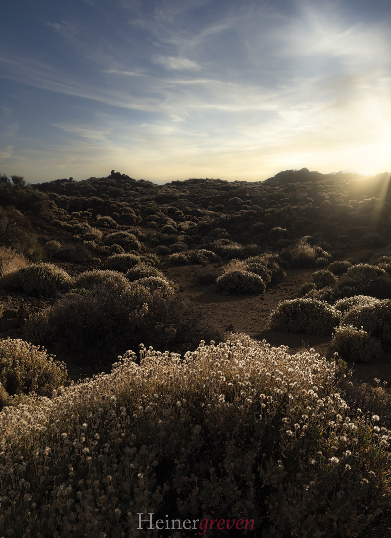 Sonnenuntergang im Teide Nationalpark 