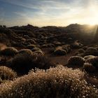 Sonnenuntergang im Teide Nationalpark 