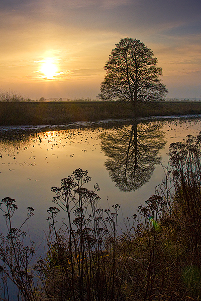 Sonnenuntergang im Teufelsmmoor