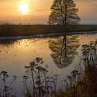 Sonnenuntergang im Teufelsmmoor