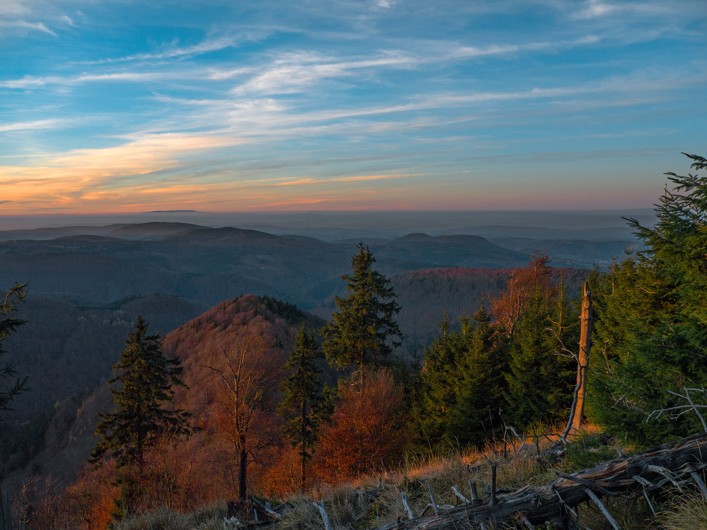 Sonnenuntergang im Thüringer Wald