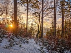 Sonnenuntergang im Thüringer Wald