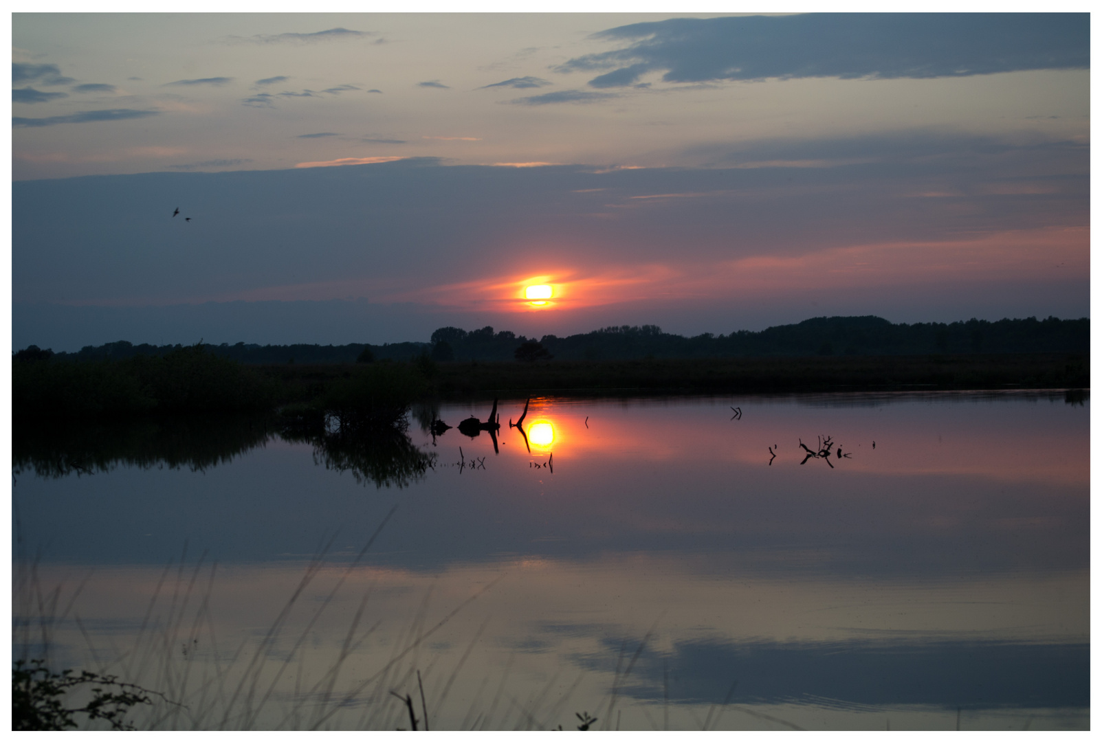 Sonnenuntergang im Torfmoor