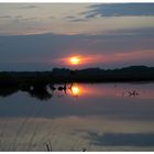 Sonnenuntergang im Torfmoor