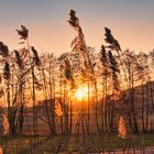 Sonnenuntergang im Trebgasttal