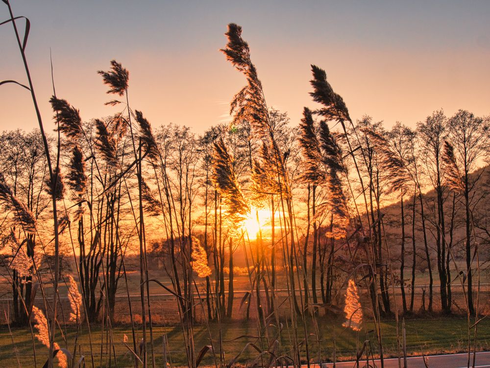 Sonnenuntergang im Trebgasttal