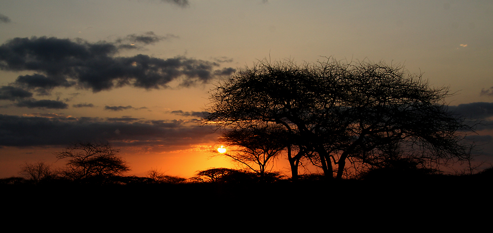 Sonnenuntergang im Tsavo East Nationalpark