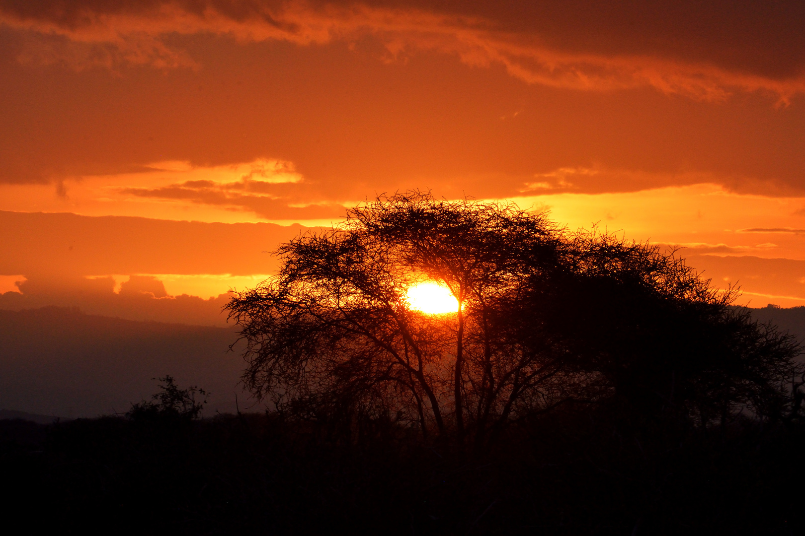 Sonnenuntergang im Tsavo NP
