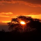 Sonnenuntergang im Tsavo NP