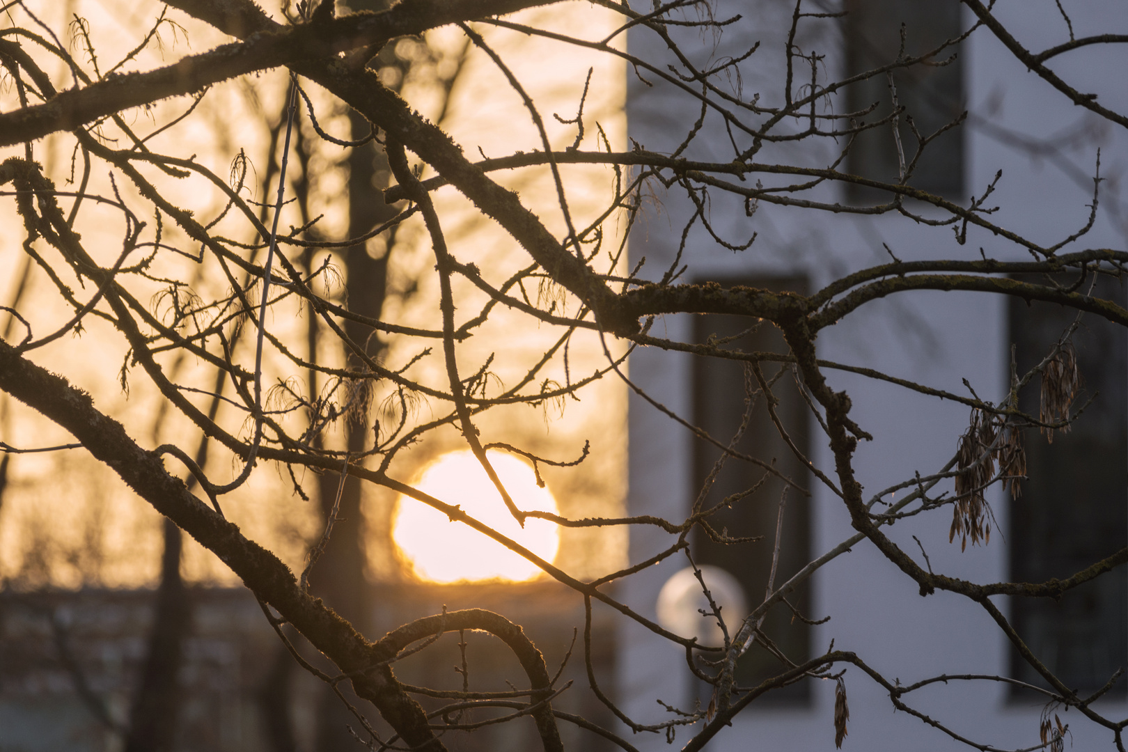 Sonnenuntergang im Unipark