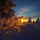 Sonnenuntergang im Urho Kekkonen Nationalpark im Februar 2012