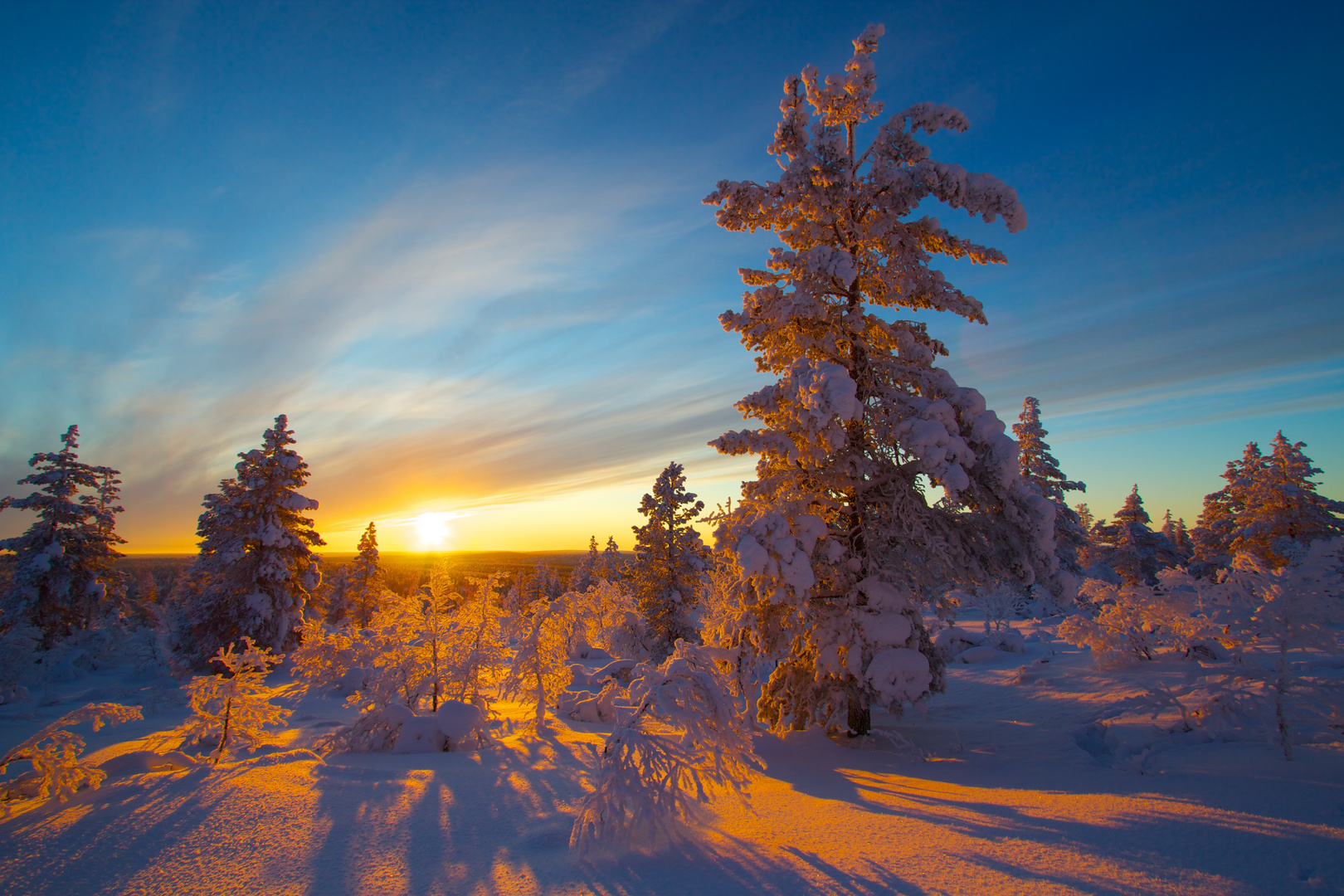 Sonnenuntergang im Urho Kekkonen Nationalpark im Februar 2012 Teil 2