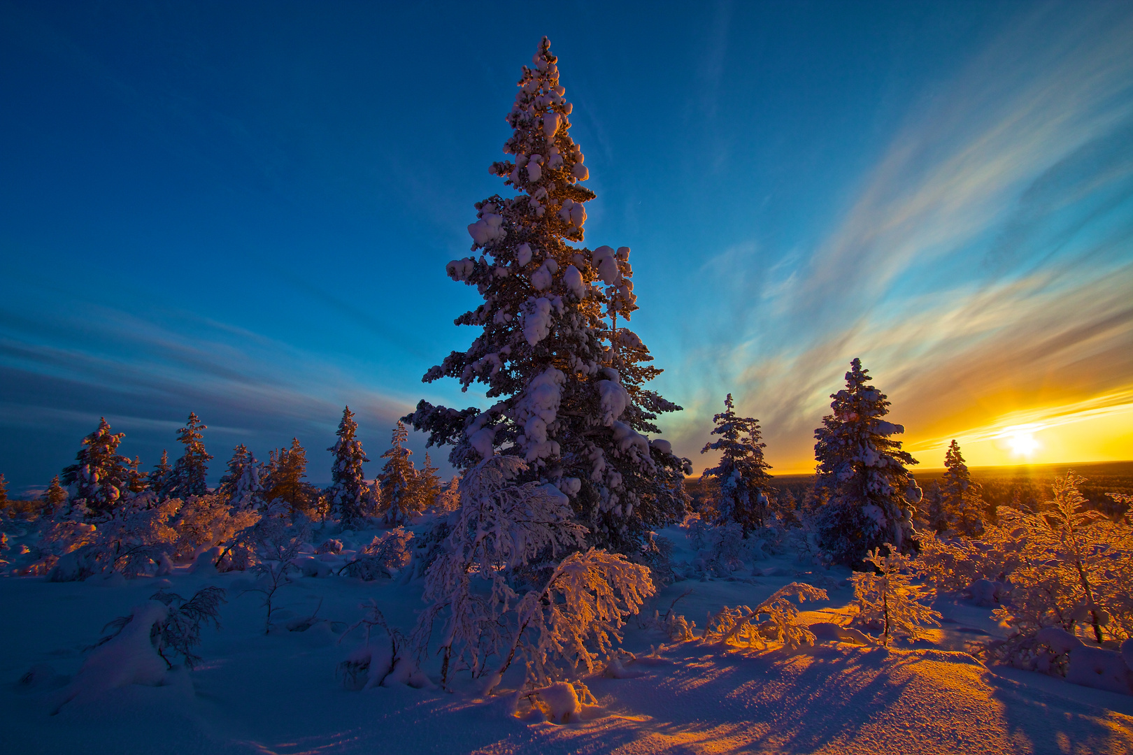 Sonnenuntergang im Urho Kekkonen Nationalpark im Februar 2012 Teil 3