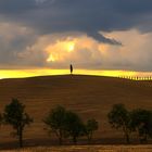 Sonnenuntergang im Val di Orcia