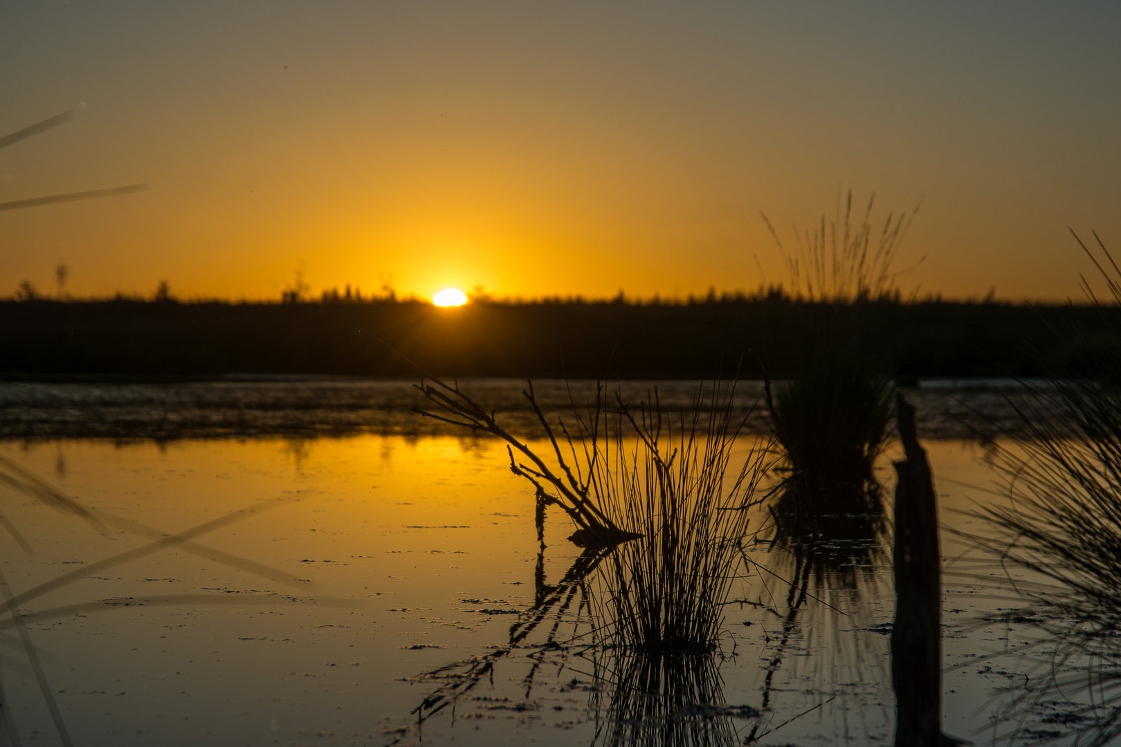 Sonnenuntergang im Venn