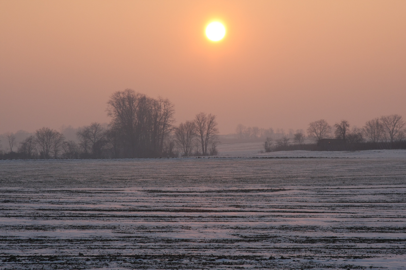 Sonnenuntergang im verschneiten Feld