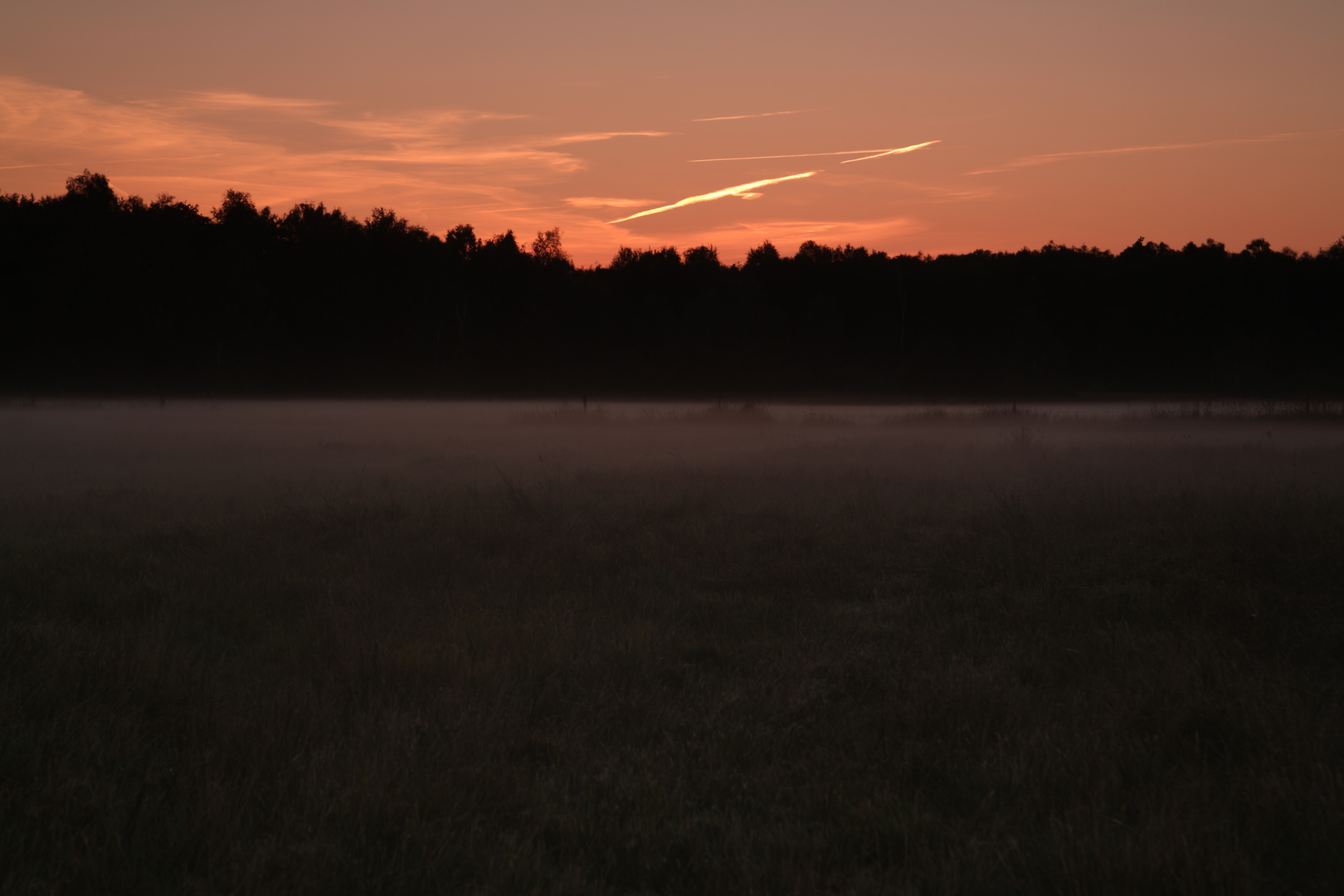 Sonnenuntergang im Vogelmoor