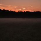 Sonnenuntergang im Vogelmoor