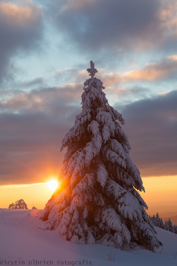 Sonnenuntergang im Vogelsberg