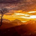 Natur