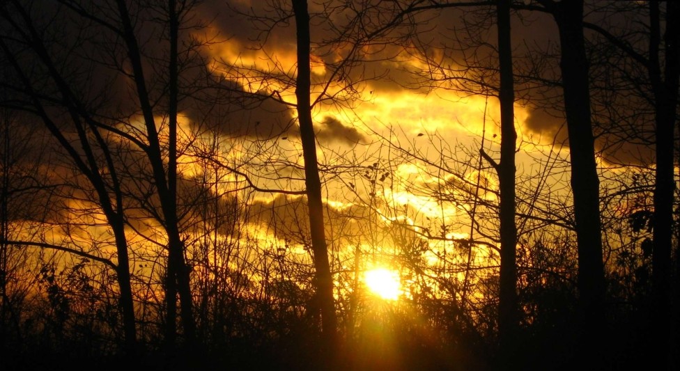 Sonnenuntergang im Wald