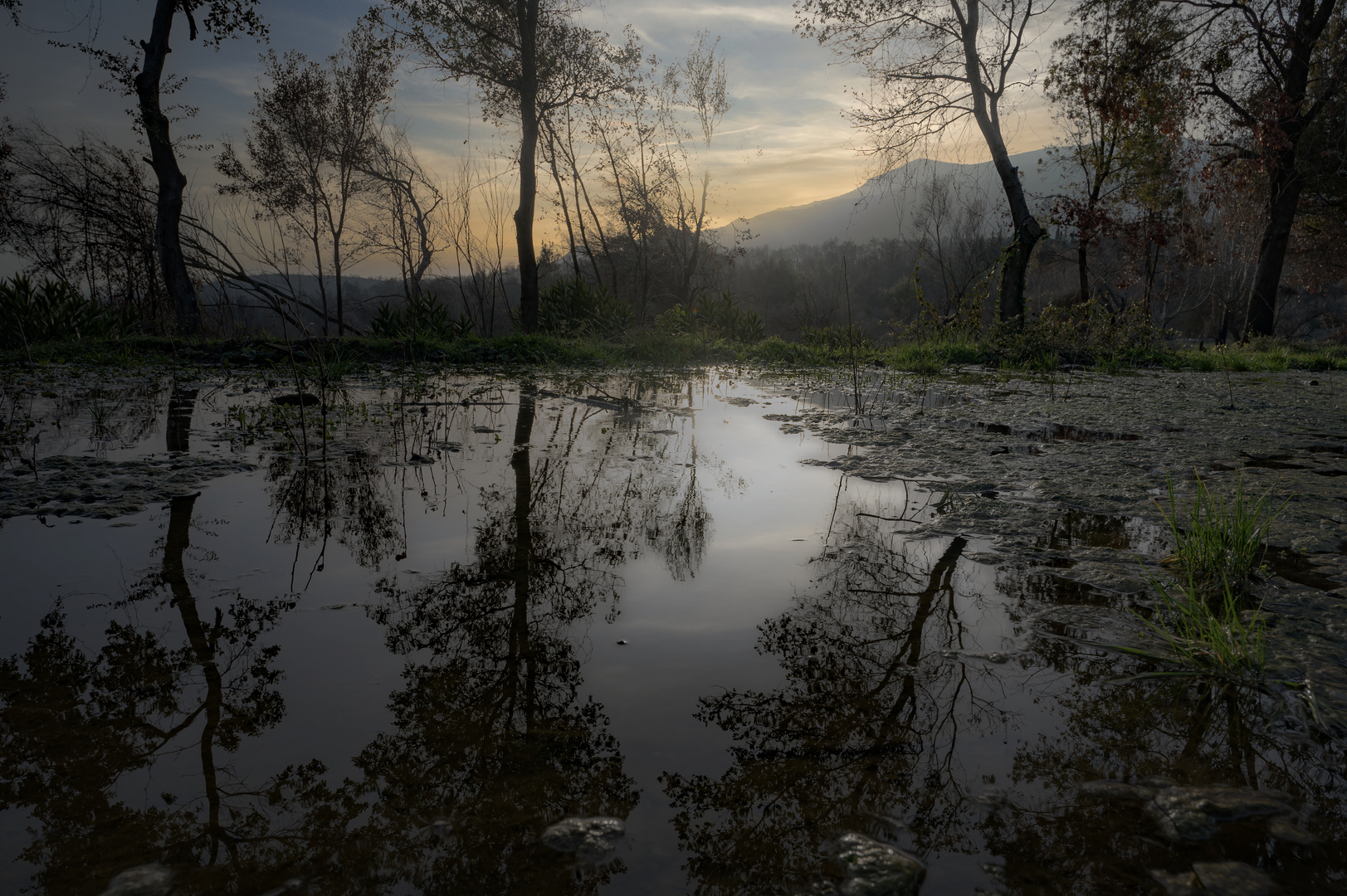 Sonnenuntergang im Wald