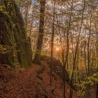 Sonnenuntergang im Wald