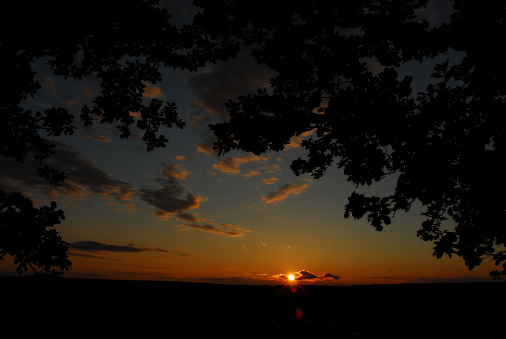 Sonnenuntergang im Wald