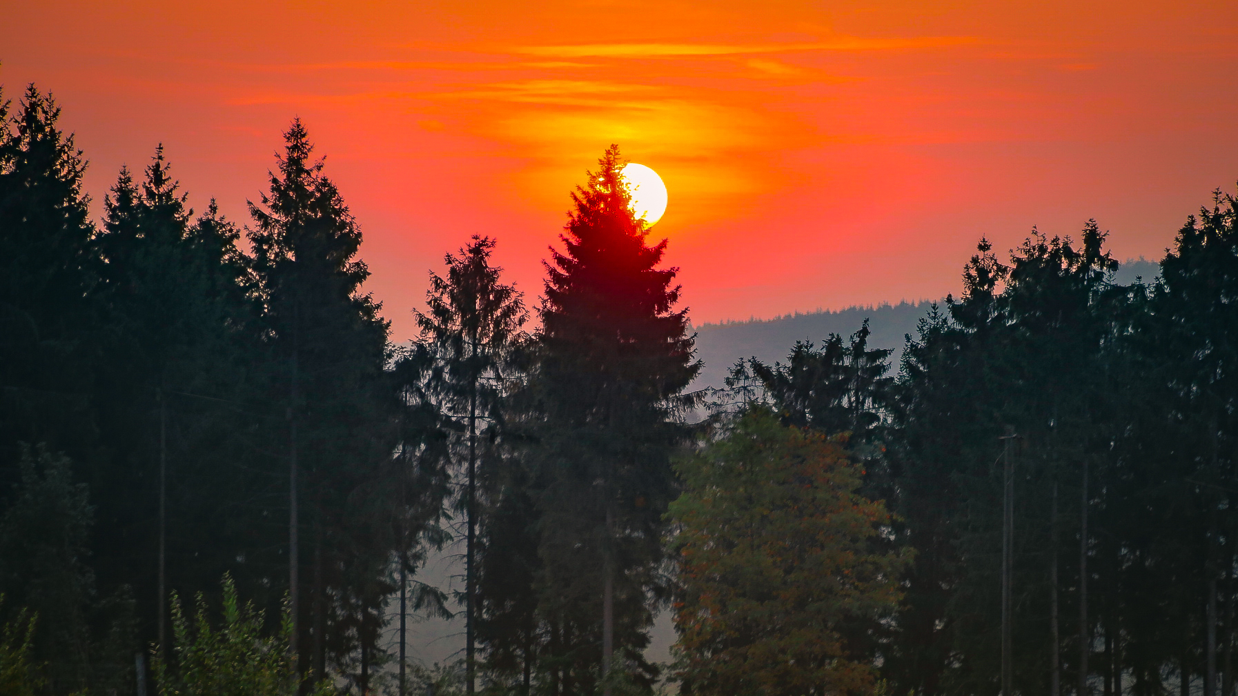 Sonnenuntergang im Wald