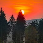 Sonnenuntergang im Wald