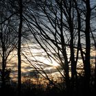 Sonnenuntergang im Wald