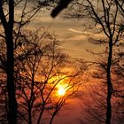 Sonnenuntergang im Wald