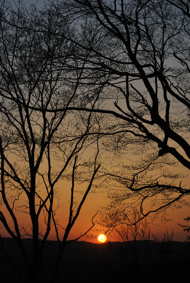 Sonnenuntergang im Wald