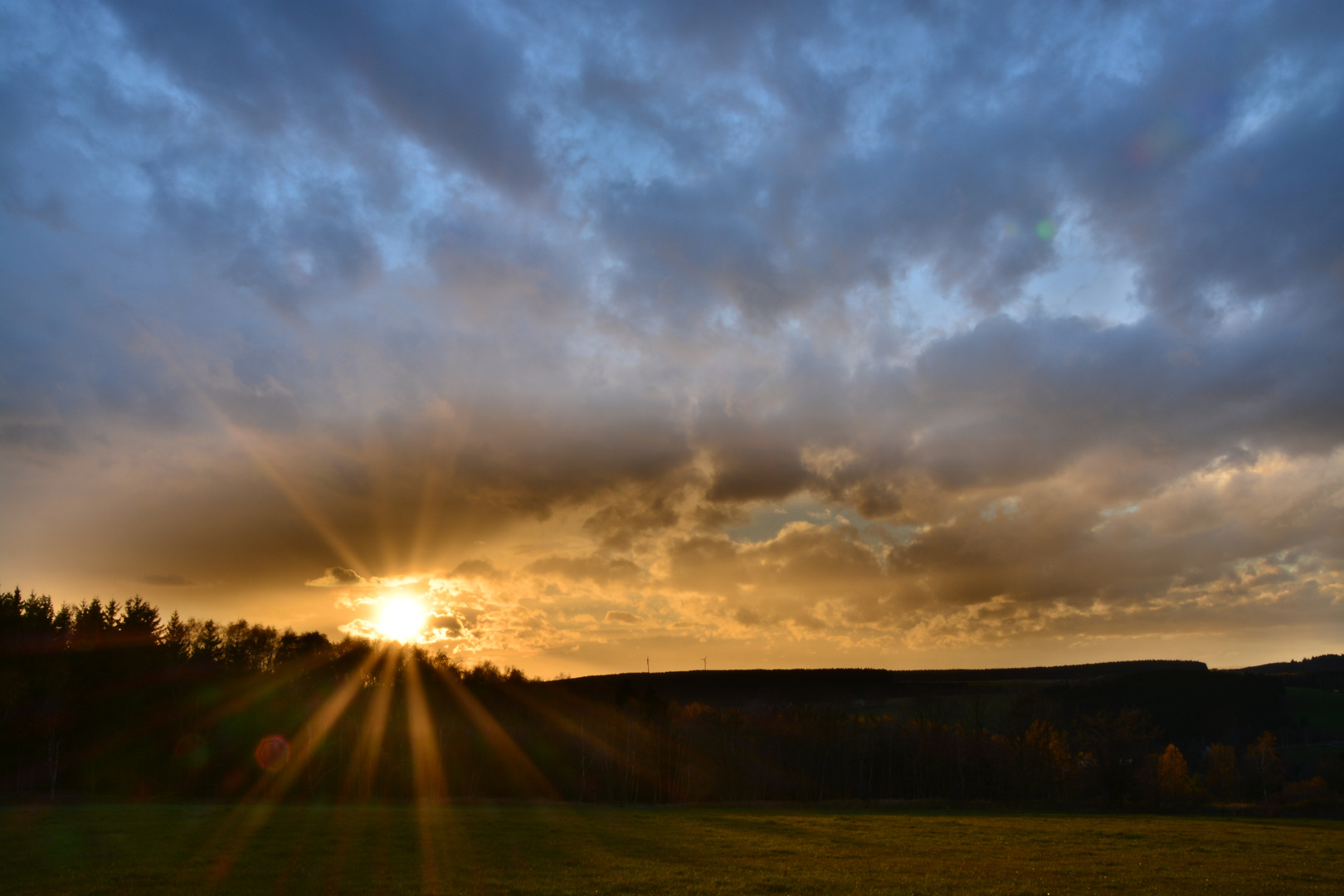 Sonnenuntergang im Wald