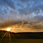 Sonnenuntergang im Wald