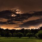 Sonnenuntergang im Wald