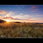 Sonnenuntergang im Waldeckschen