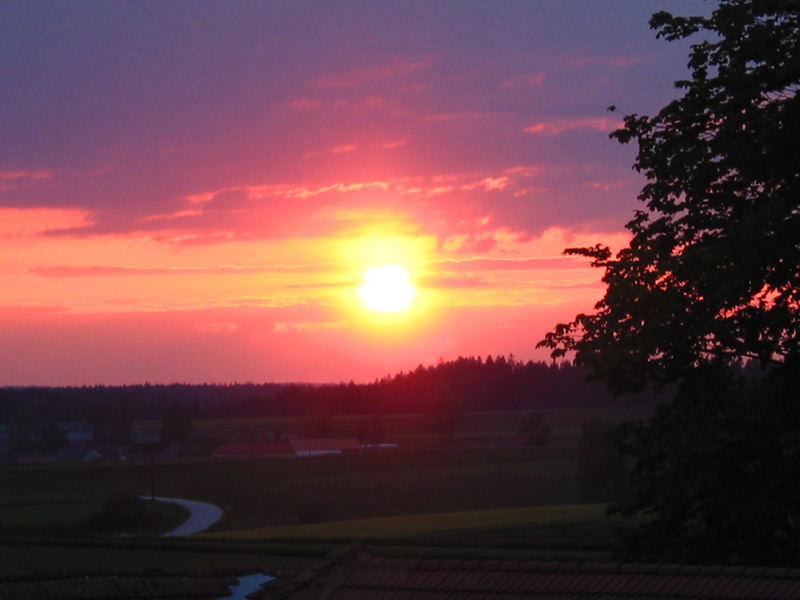 Sonnenuntergang im Waldviertel