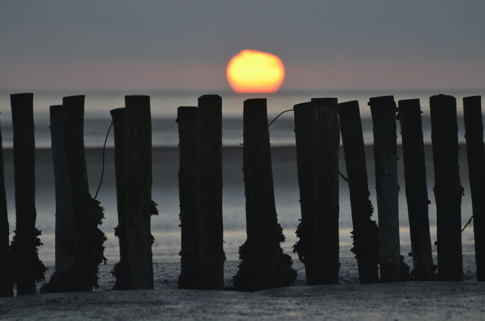 Sonnenuntergang im Watt