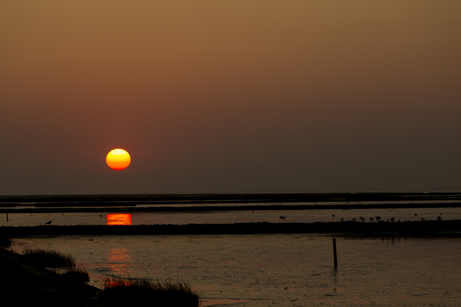 Sonnenuntergang im Watt