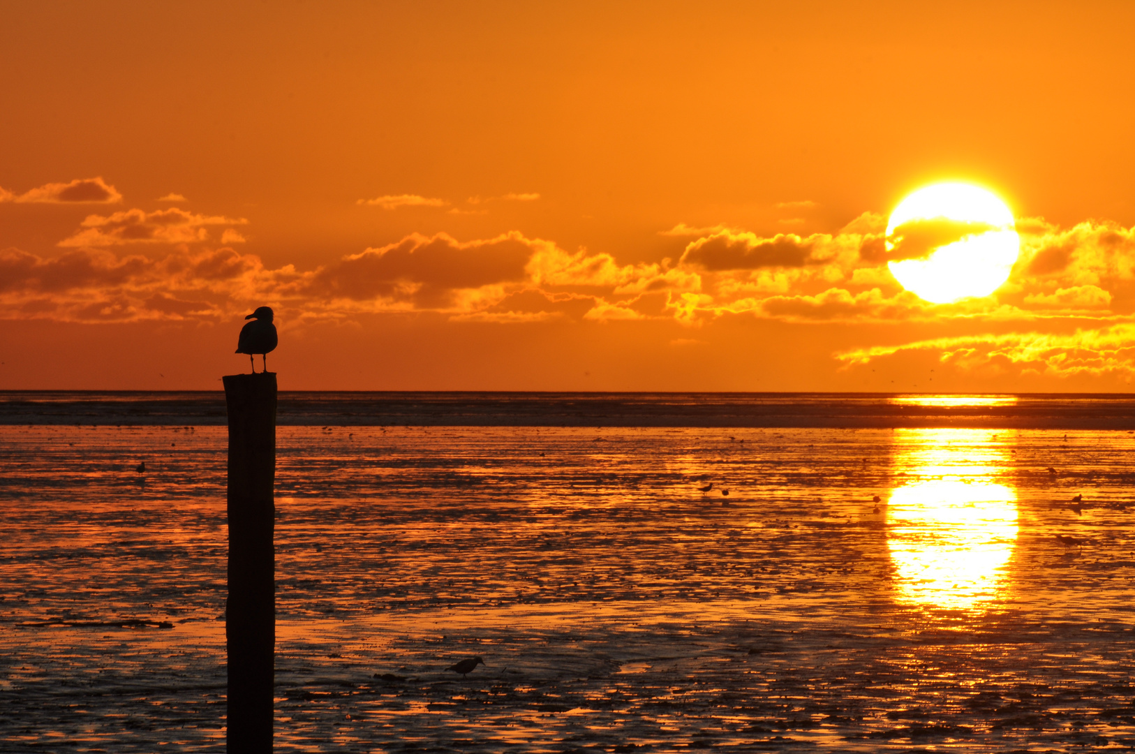 Sonnenuntergang im Watt