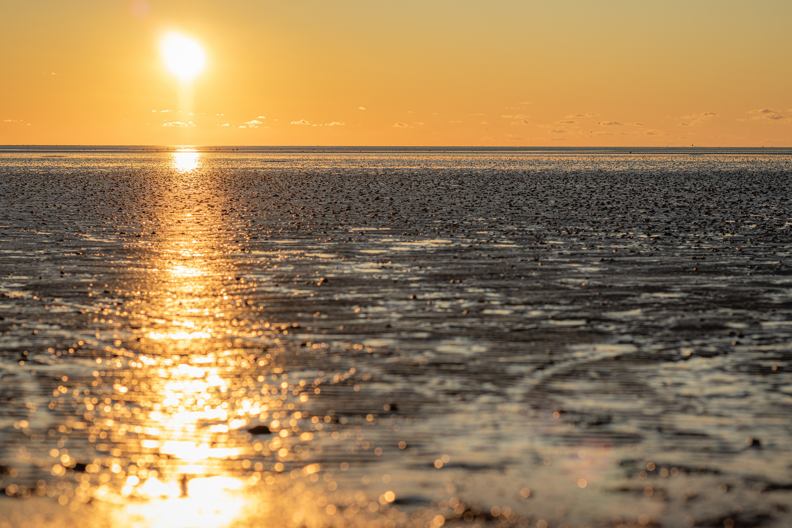 Sonnenuntergang im Watt