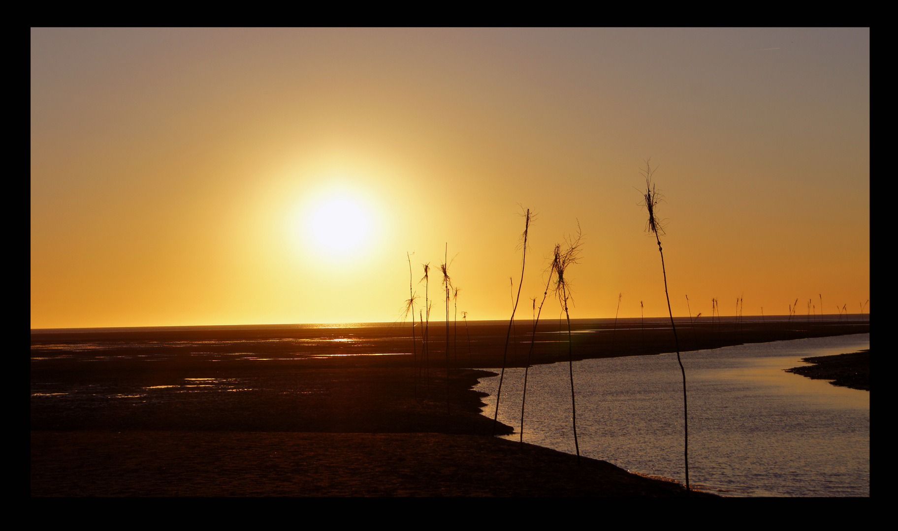 Sonnenuntergang im Watt