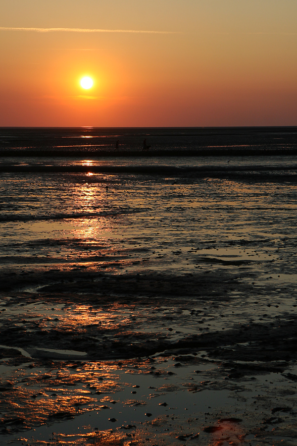 Sonnenuntergang im Watt