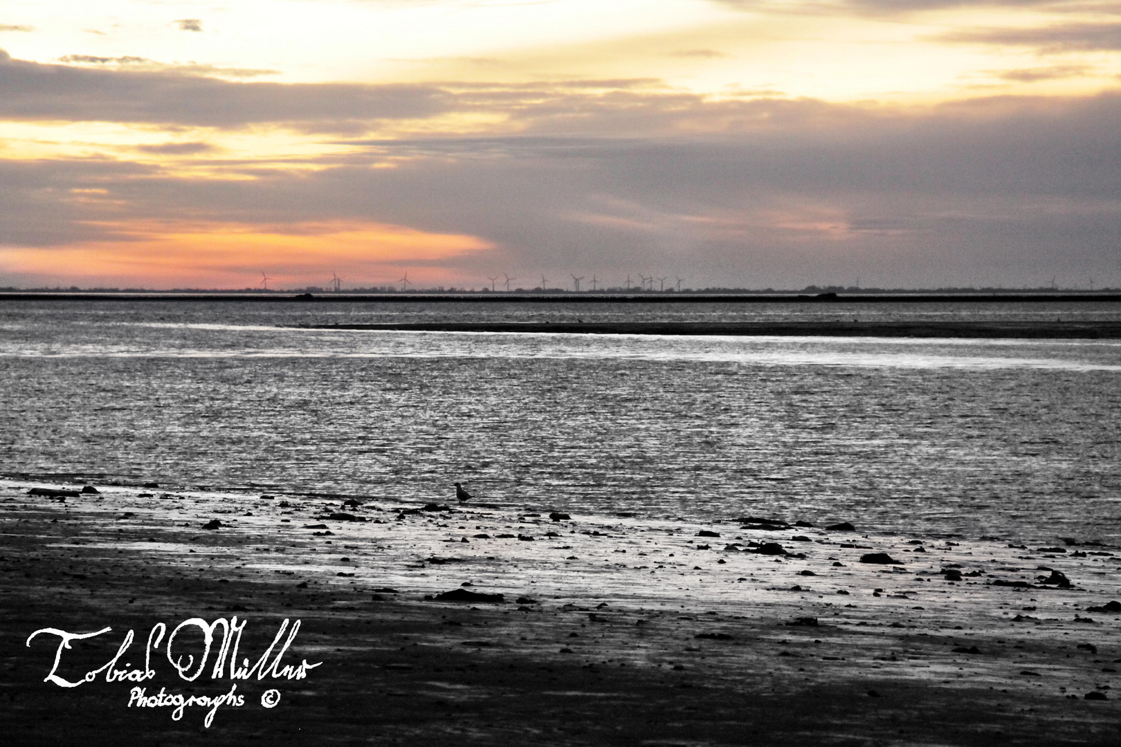 Sonnenuntergang im Wattenmeer