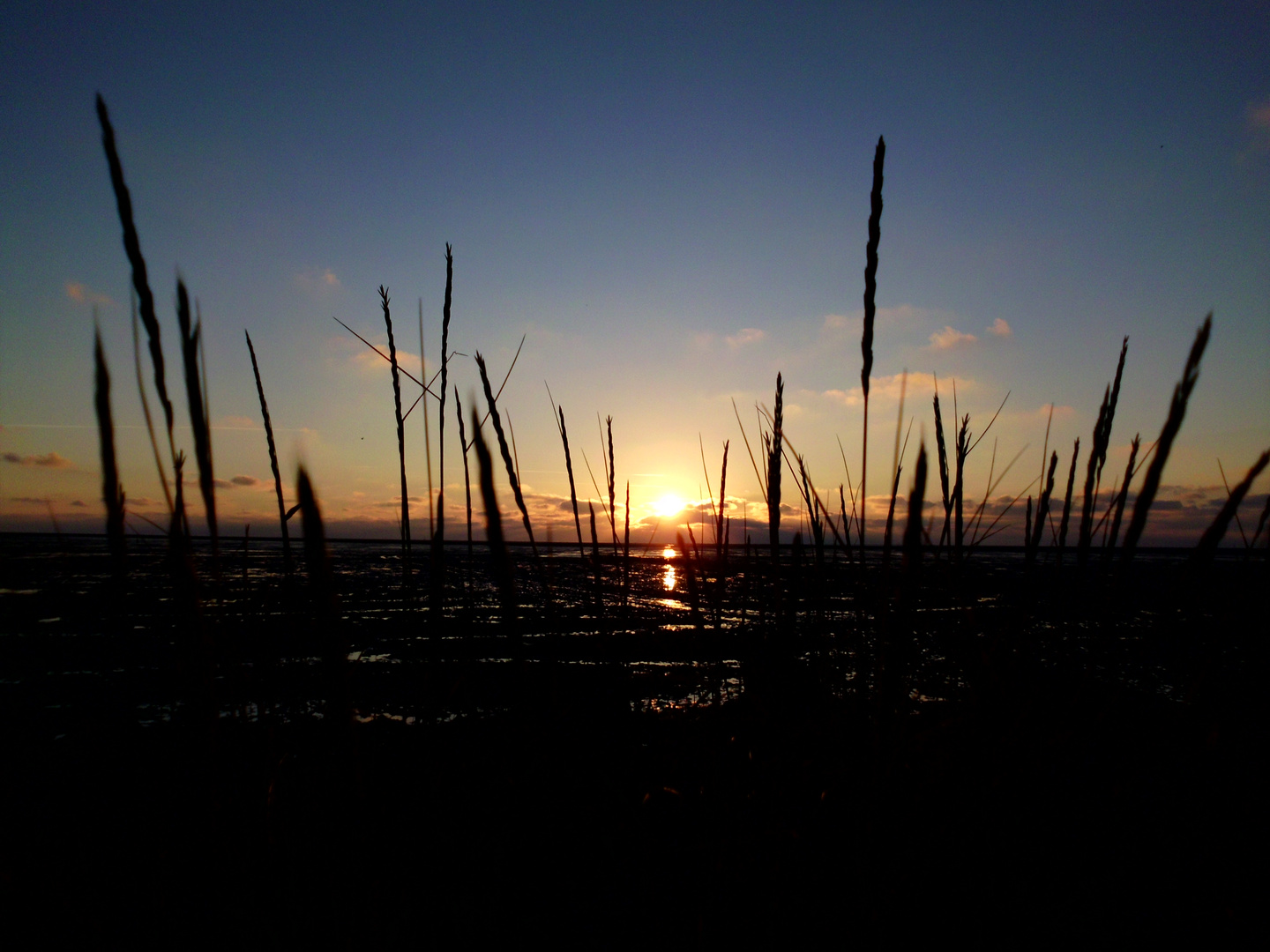 Sonnenuntergang im Wattenmeer