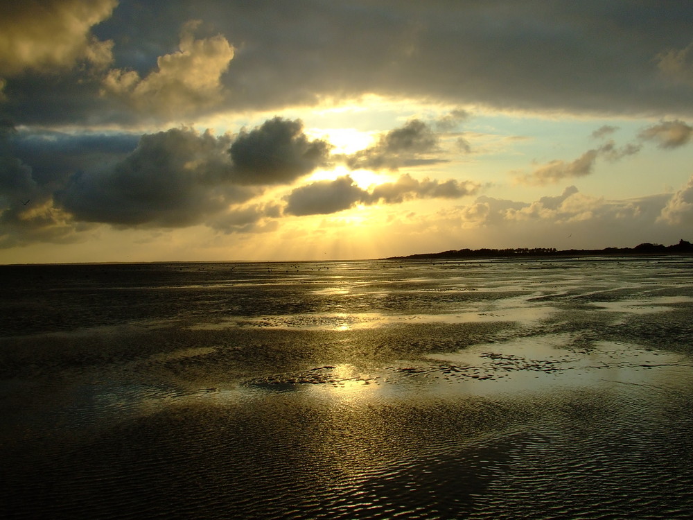 Sonnenuntergang im Wattenmeer (Föhr Sept.08)