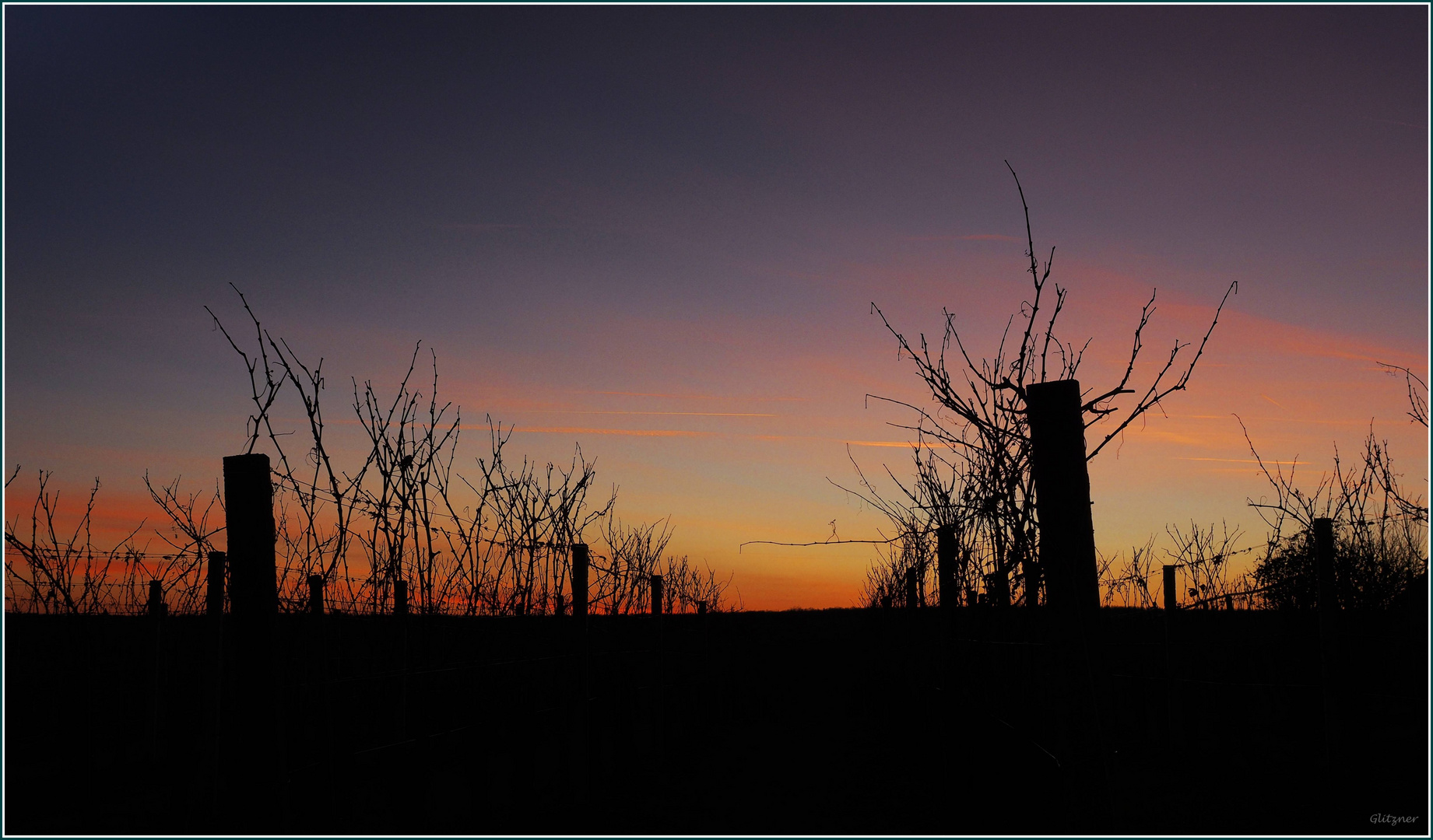 Sonnenuntergang im Weinberg