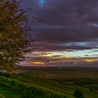 Sonnenuntergang im Weinberg