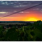 Sonnenuntergang im Weinberg, links unten sieht man das Dorf Sickershausen. 